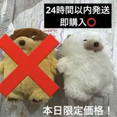 ムクムクむっくん　ぬいぐるみ　新品　5点セット ≪6月の新商品≫ムクムクむっくんチャーミング☆アミューズプライズ