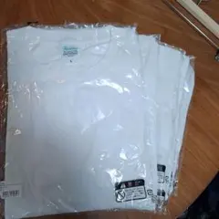 Printstar Tシャツ ホワイト L 5枚セット