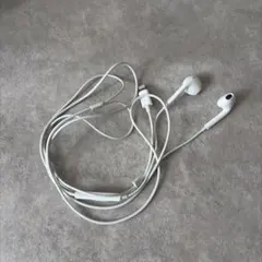 Apple 純正イヤホン lightning