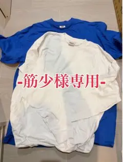 PRO CLUB ヘビーウェイト3XL 4XL 青 半袖 白長袖セット