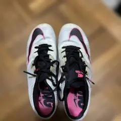 Item thumbnail for item 16e1993a-8ba9-4d5f-a52a-6c43a6d97ca8