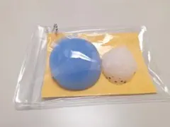 スクイーズ⭐海のいきもの　くじらとアザラシ⑬