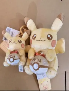 ポケモン ピカチュウ 30周年 ぬいぐるみ マスコット セット