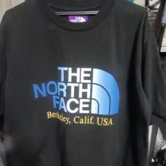 ☆レア物☆THE NORTH FACE 黒 Tシャツ M
