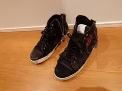 Item thumbnail for item 16c51fb0-535a-42e7-9dd2-53eeee1b6ba4