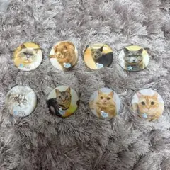 猫 ピンバッジ 8個セット