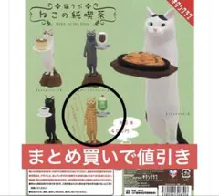 キタンクラブ　猫ラボ　ねこの純喫茶　トラとクリームソーダ　茶トラ