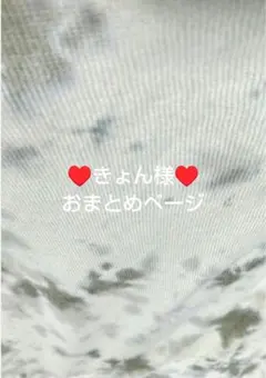 ♥きょん様専用ページ♥
