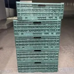 緑色折りたたみプラスチックコンテナ5個セット