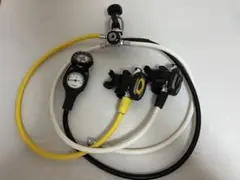 Item thumbnail for item 25586be9-2795-42c8-aa3d-99ae7f3b69ad