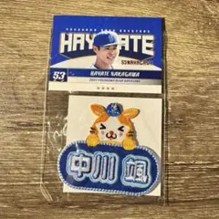 中川颯 応援グッズなどまとめ売り14点 2025年最新】中川颯の人気アイテム - メルカリ