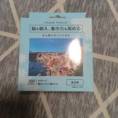 大人用ジグソーパズル 300ピース 海辺柄 A4サイズ
