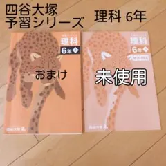 か*ゃ様 四谷大塚予習シリーズ 公立中高一貫校セット 6年 2026年最新】四谷大塚 公立中高一貫の人気アイテム - メルカリ