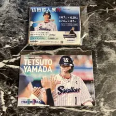 【非売品】 ヤクルト 山田哲人 アクリルスタンド ポストカード 2点セット