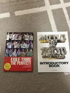 Item thumbnail for item 6d743c4e-0a39-45b8-82f1-044250d08908