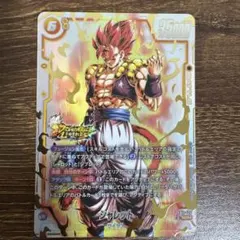 シャレット　SCRパラレル