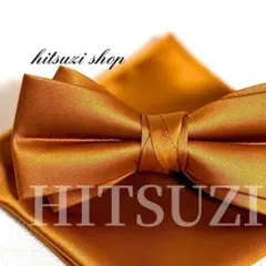 Item thumbnail for item 720809be-7b9b-464f-bee1-7123d29c5be0