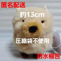 たぬぽんぽん LMC ヤブ郎