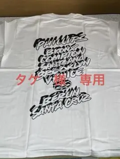 タグ付未使用！old stussyカスタメイドワールドツアーTシャツ