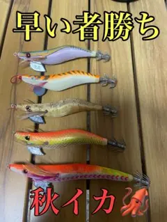 2025年最新】エギング引退セットの人気アイテム - メルカリ
