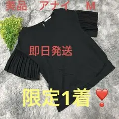 ❣️美品【ANAYI アナイ】ブラック 半袖 トップス プリーツ袖 38（M）