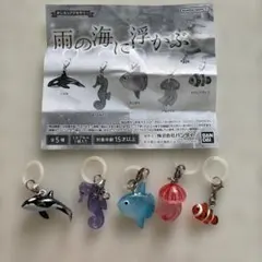 雨の海に浮かぶ めじるしアクセサリー 5種セット