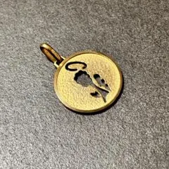 19481✨️イヴサンローラン カサンドラ YSLロゴ ヴィンテージ 