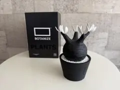 2026年最新】botanizeの人気アイテム - メルカリ