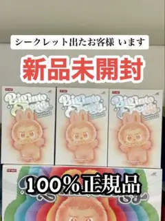 【正規品・未開封】Labubu Big into Energy 3箱