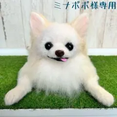 ミナポポ様専用　羊毛フェルト【チワワ】　犬　メモリアル　オーダー