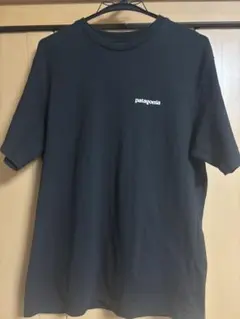 パタゴニア　Tシャツ