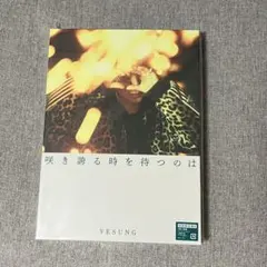 SUPER JUNIOR イェソン 咲き誇る時を待つのは 初回限定盤B CD - メルカリ