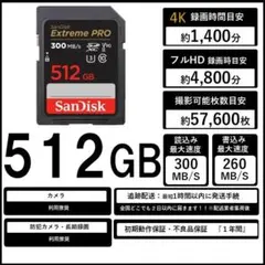 Item thumbnail for item 1ed4e3c7-d300-4956-8b11-dbefd95ab276