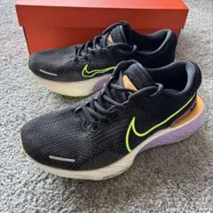 Item thumbnail for item 2a3e8c41-3622-4d6d-8bdc-f8e3ff50c72a