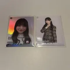 Item thumbnail for item 87df4746-cde4-4508-bdfe-8a335622f3f8