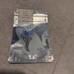 【未開封】猫ちゃん ネームキーリング