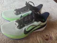 ペガサス42
