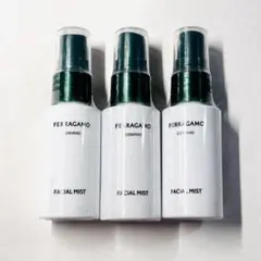 フェラガモ コンヴィーヴィオ タスカンクリエイションズ 香水 希少品 楽天市場】フェラガモ タスカン 香水の通販