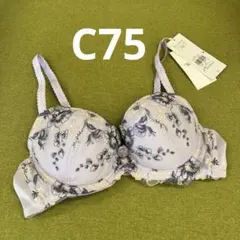 最終価格　C75トリンプ美胸ソフトブラ クラッシー ペタルズ