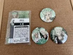 Dr.STONE ドクターストーン　ぷちくじ 石神千空　セット