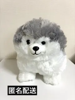 ころりんわんこのモフまる VMCサイズ ぬいぐるみ 全3種セット - メルカリ