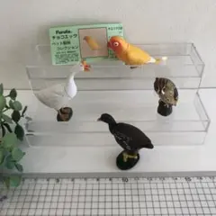 チョコエッグ ペット動物シリーズ キエリクロボタンインコ 他 4点おまとめ