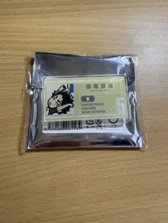 Item thumbnail for item dce7b49a-bb53-4843-ab04-fab81859730a