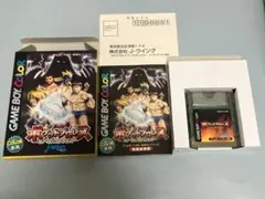 ゲームボーイカラー　ポケットプロレス　パーフェクトレスラー