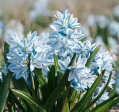 alice様 リクエスト 2点 まとめ商品