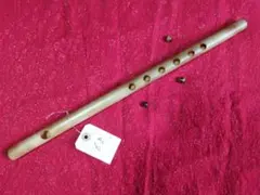 2026年最新】篠竹 女竹の人気アイテム - メルカリ