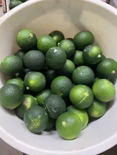 徳島県産　ハウスすだち　箱込み1kgのサムネイル