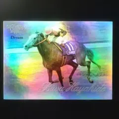 ビワハヤヒデ、VICTORY 2000