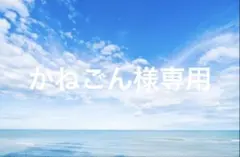 かねごん様専用