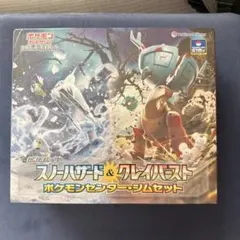 ナンジャモセット　スノーハザード＆クレイバースト ジムセットのサムネイル